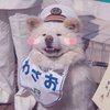 Avatar of ciyanyi1