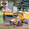 Avatar of Louisville Felling Pro
