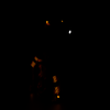 Avatar of emberthefox