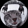 Avatar of teamclayton2016