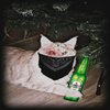 Avatar of DonB1don