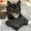 Avatar of lehaplayf
