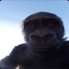 Avatar of monkey