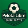 Avatar of Pelota Libre