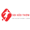 Avatar of soikeothomcom
