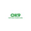 Avatar of ok9vn2com