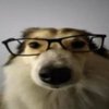 Avatar of ꉂ TapH's No.1 OF Donator☆*⋆