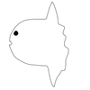 Avatar of Sunfish_lover
