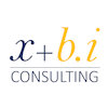 Avatar of x+ b.i CONSULTING