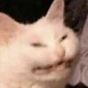 Avatar of Trivialidade