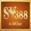 Avatar of SV388 - Nhà cái cá cược đá gà trực tuyến