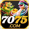 Avatar of 7075 🌈Página oficial do site - Bônus de 200%