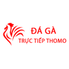 Avatar of Đá Gà Trực Tiếp Thomo Hôm Nay