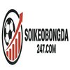 Avatar of soikeobongda247com