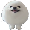 Avatar of BenjaminFET