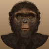 Avatar of NAU_BAT_Lab