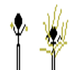 Avatar of bonecobrasileiro54