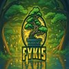 Avatar of fykis