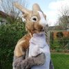 Avatar of jollea