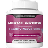 Avatar of Nerve Armor Nervous System