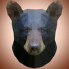 Avatar of Baer_Travis