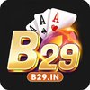 Avatar of b29in