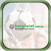 Avatar of BongDaNet - Trực Tiếp Xem Bóng Đá Net