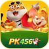 Avatar of pk456