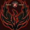 Avatar of PhantomTA