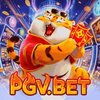 Avatar of pgv