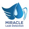 Avatar of Miracle Leak Detection - Mains Leaks