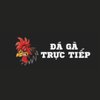 Avatar of dagatructiep365com