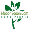 Avatar of mooonsooon