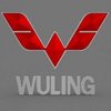 Avatar of WulingMakassar