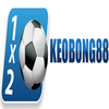 Avatar of Keo bong 88