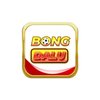 Avatar of Bongdaluspacelic