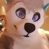 Avatar of Lucky_fuzz_butt