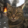 Avatar of ExtraX_