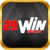 Avatar of 29winnet