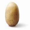 Avatar of potatowasher69