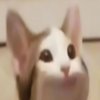 Avatar of Ninjaphoenix7