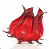 Avatar of zefruitlivingbeingidk