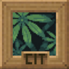 Avatar of Remy_Cottagecore
