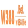 Avatar of W388
