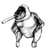 Avatar of otis