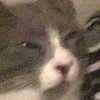 Avatar of thelemonardo