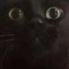 Avatar of joshthedog65