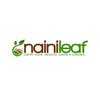 Avatar of Nainileaf