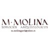 Avatar of Manuel Molina