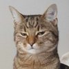 Avatar of linuspace